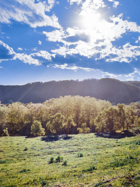 Fine art picture showing a sunny landscape