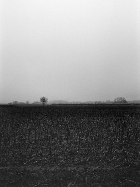 Fine art picture showing a winterly field in black and white