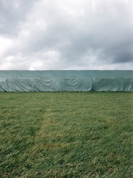 Fine art picture showing an strangely obscured landscape with grass in the foreground