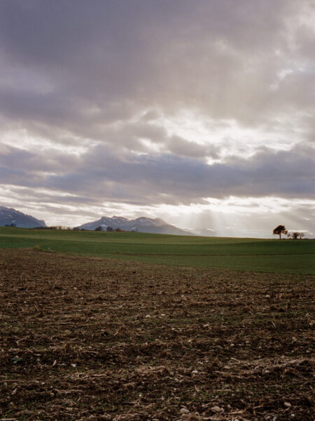 Fine art picture showing winterly filed with a small mountain far away in a romantic mood