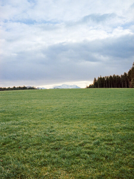 Fine art picture showing a pasture with a small mountain far away.