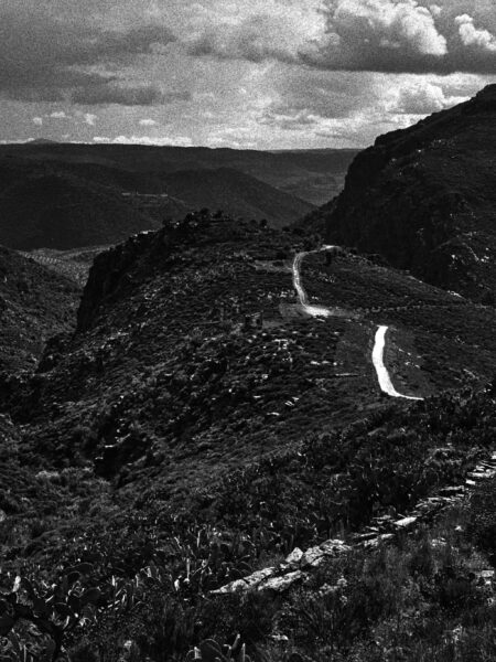 Fine art picture showing a landscape in deep blacks and a bright street in the middle